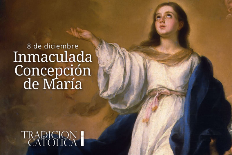 8 de diciembre: La Inmaculada Concepción de la Bienaventurada Virgen María