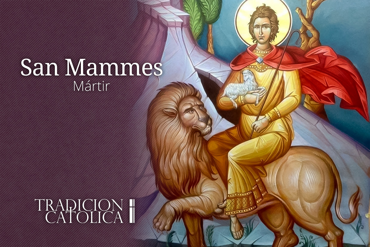 17 de Agosto: San Mammes